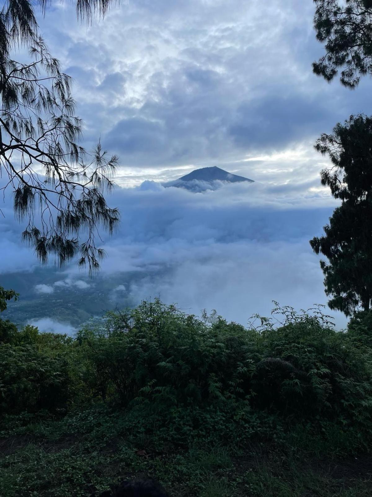 Avocado Homestay Tetebatu Εξωτερικό φωτογραφία