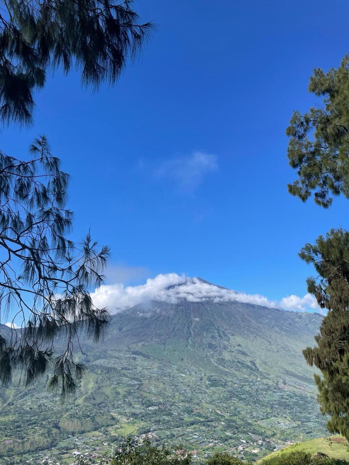 Avocado Homestay Tetebatu Εξωτερικό φωτογραφία
